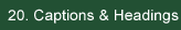 Captions and Headings