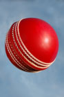 Cricket ball in the air