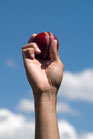 Cricket bowler