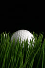 Golf ball in grass