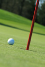Articles about golf