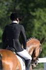 Horse Dressage Competition