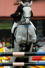 Articles about equestrian performance
