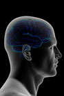 Power of the mind