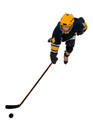 Young hockey player