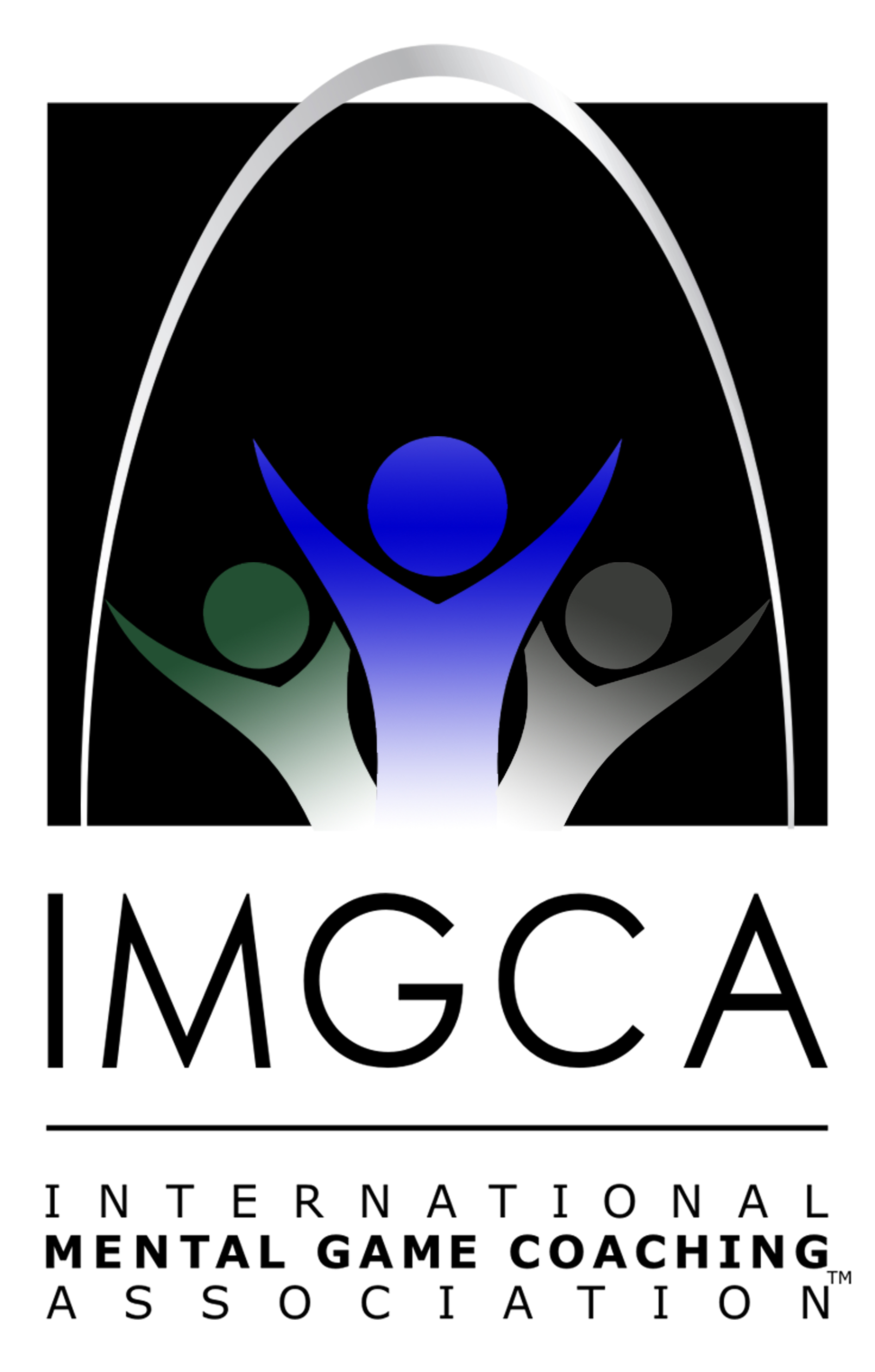 Very large IMGCA logo